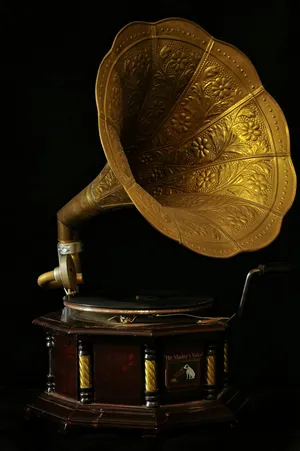 棕色，金色，master，语音留声机，留声机，转盘，颜色，音乐，颜色
