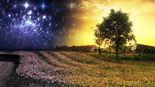 绿色，树叶树，黑色，白色，木制，房屋，昼夜，摄影