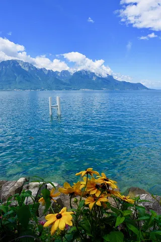 自然、湖泊、花卉、景观、水、环境、和平、反思