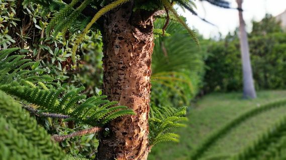 看，所有镜头，跟随，彩色，风格，swag，sm-g900f，s5