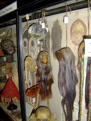 萎缩的头，土著，部落，恐怖，展览，展览，人类学，暂停