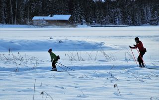 结冰、路线、滑雪、滑雪、滑雪、下雪、放松、小径、寒冷