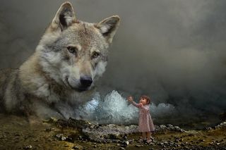 幻想、狼、孩子、自然、动物、神秘、场景、好