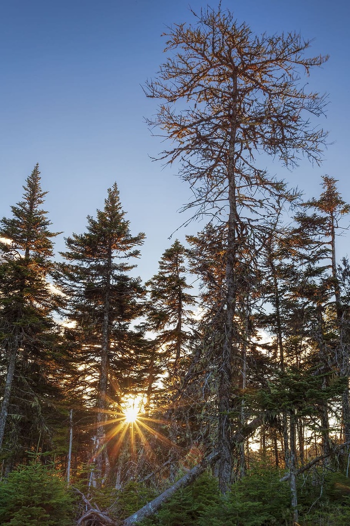 秋天的颜色和灯光在一条步行小道上。