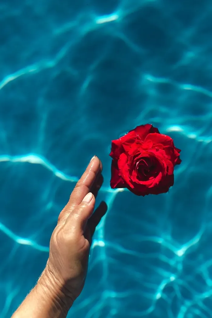 在一个温暖的夏日，一座游泳池的碧水上升起了一座清新的花园