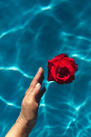 在一个温暖的夏日，一座游泳池的碧水上升起了一座清新的花园