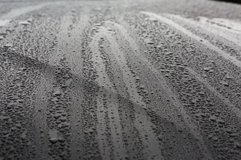 雨滴,雨,湿,滴,运输,没有人,模式,特写 雨滴,雨,湿,滴,运输,没有人,模式,特写