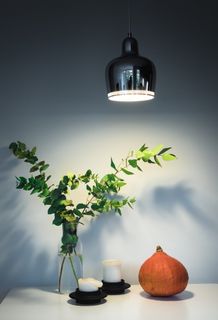 白色蜡烛旁的绿叶植物中心