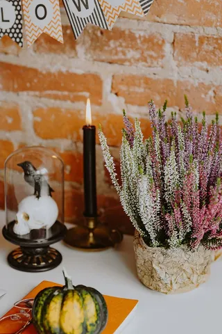 带笔记本电脑和万圣节装饰的桌子