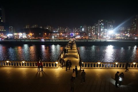 浦项，夜景，景观，夜晚，城市，韩国，街道，氛围