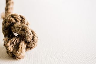 美国，列克星敦，macrame，绳索，绞线，清洁，棕色，白色