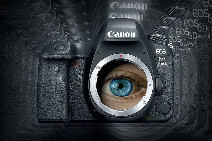 眼睛，相机，照片，镜头，摄影师，数码，技巧，构图