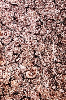 con2011，背景，损坏，垃圾，纸张，壁纸，全画框，背景