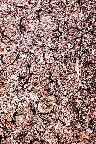 con2011，背景，损坏，垃圾，纸张，壁纸，全画框，背景