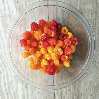 浆果、水果、橙子、红色、食品、新鲜、浆果、有机