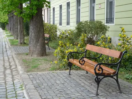 促销、垫子、木材、春天、植物、座椅、树木、人行道