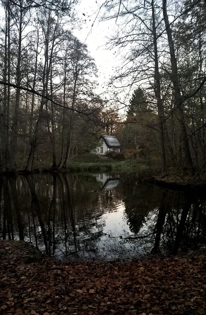 湖泊、房屋、森林、镜像、丹麦、丹麦、树木、水