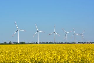 多拉特、景观圩区、邦德市、油菜田、环境保护、涡轮机、燃料和发电、环境