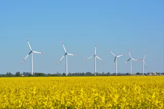 多拉特、景观圩区、邦德市、油菜田、环境保护、涡轮机、燃料和发电、环境