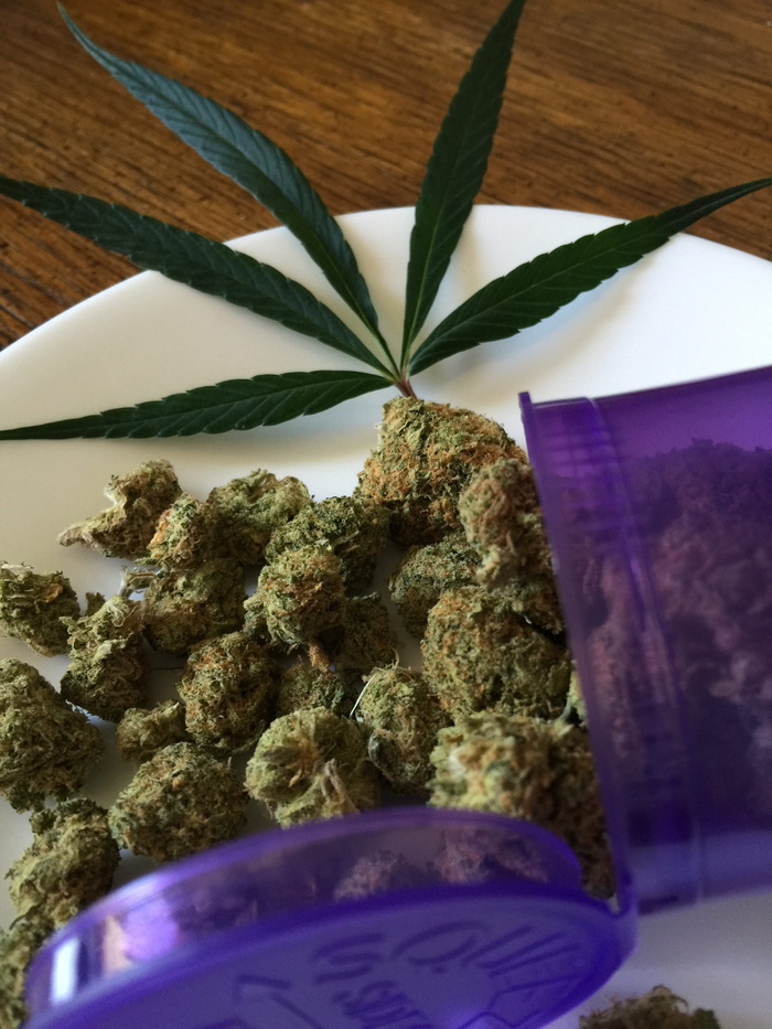 绿色, 库什, 顶部, 盘子, 大麻苜蓿, 大麻, 大麻, 医疗