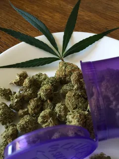 绿色, 库什, 顶部, 盘子, 大麻苜蓿, 大麻, 大麻, 医疗 绿色, 库什, 顶部, 盘子, 大麻苜蓿, 大麻, 大麻, 医疗