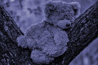 泰迪，夜晚，睡眠，可爱，填充动物，玩具，泰迪熊，软玩具