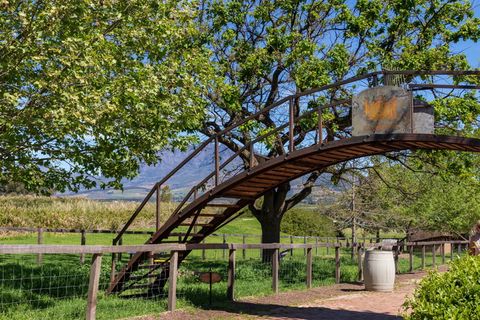 南非,suider paarl,fairview葡萄酒和奶酪,树木,植物,自然,建筑,白天 南非,suider paarl,fairview葡萄酒和奶酪,树木,植物,自然,建筑,白天