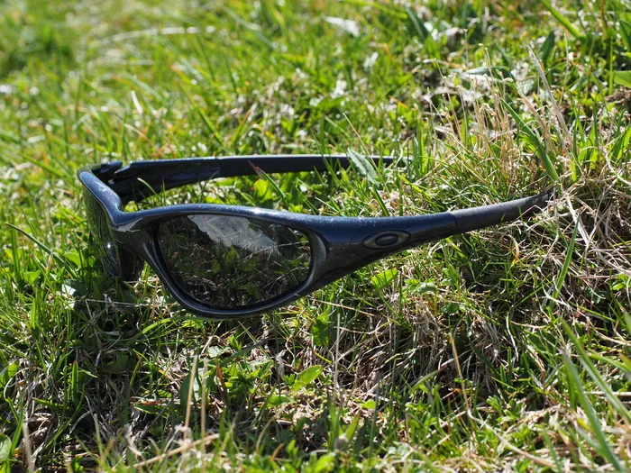 太阳镜，眼镜，防晒，oakley，护目，深色，草地，夏季