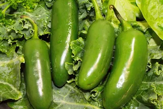 食品，蔬菜，生长，健康，新鲜，绿色，食品和饮料，健康饮食