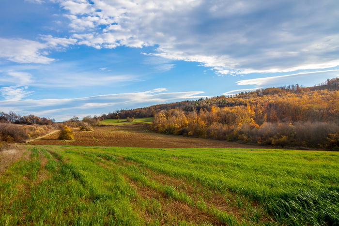 自然、景观、旅游、旅游、山地、度假、森林、dom