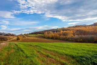 自然、景观、旅游、旅游、山地、度假、森林、dom