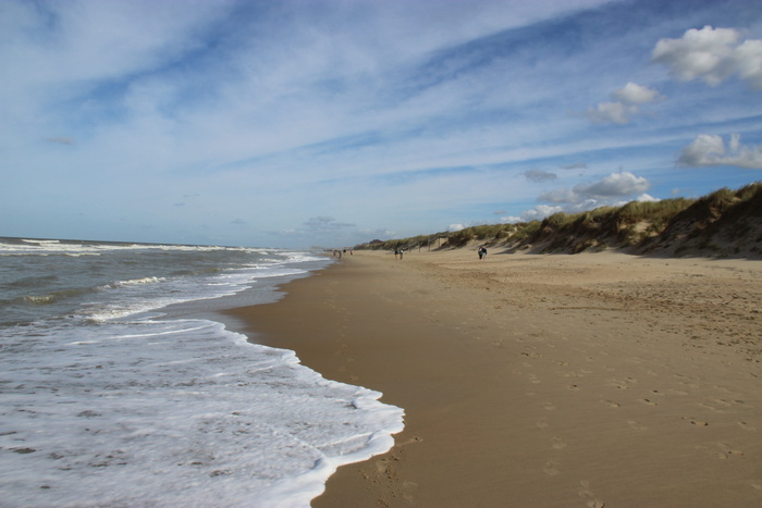 belgien，de haan，风，海，宽，安静，海滩，陆地