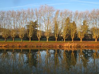 俾斯麦坎拉，萨尔布鲁肯，树木，湖泊，水，倒影，平静，玻璃