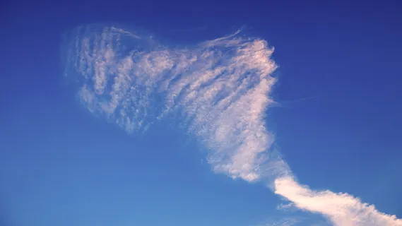 天空，自然，户外，高，有绒毛，空气，天气，夏天