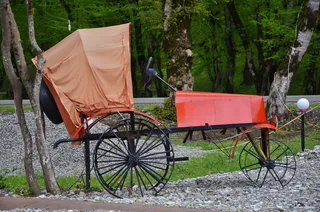 马、旅游、交通、老年、旅游、历史、马车、车轮