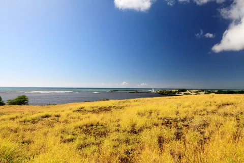 海,自然,水,田野,海岸,草地,夏威夷,海洋 海,自然,水,田野,海岸,草地,夏威夷,海洋
