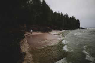 人，站着，海边，身体，水，旁边，松，树