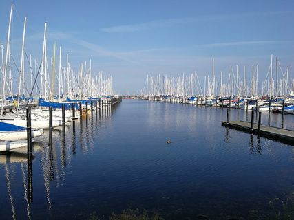 港口，两者，水，帆，夏天，蓝色，北欧，瑞典