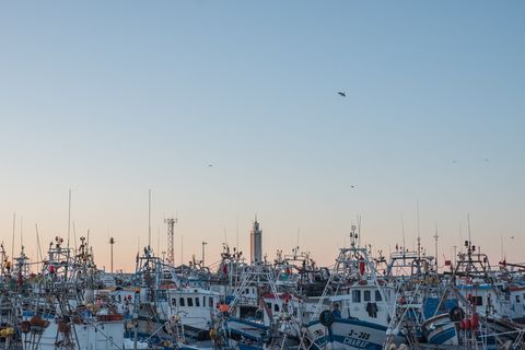 丹吉尔、摩洛哥、insta、pesca、巴科斯、船只、海洋、清真寺