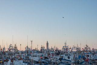 丹吉尔、摩洛哥、insta、pesca、巴科斯、船只、海洋、清真寺