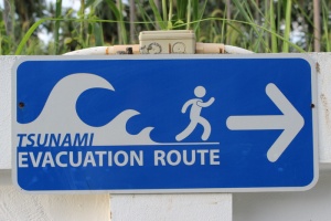 海啸疏散路线标识、盾牌、字符、注释、安全、板、符号、警告