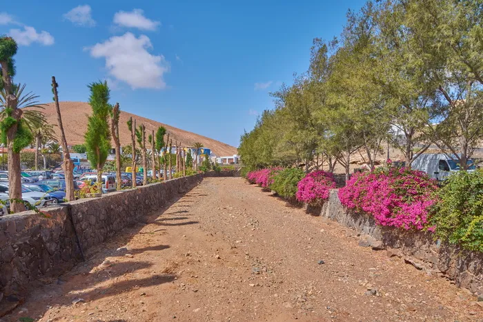 河流、脱水、干旱、干燥、自然、地面、夏季、缺少雨水