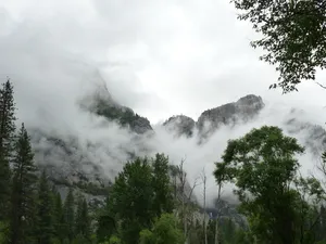 约塞米蒂，国家公园，云，重，树，景观，国家公园