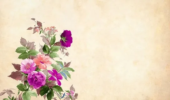 在空白背景上排列的五颜六色的花。 在空白背景上排列的五颜六色的花。