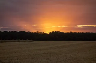 诺曼底，法国，田野，日落，黎明，黄昏，橙色，风景