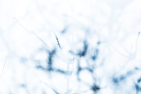 抽象绘画、艺术、艺术