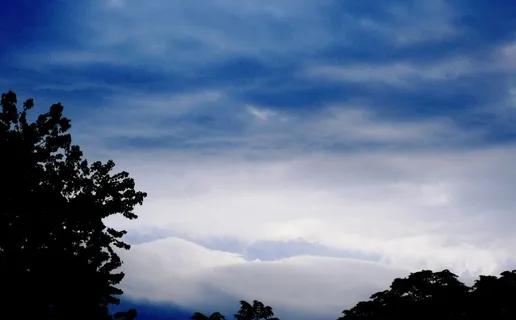 云、波浪、暴风雨、喜怒无常、蓝白色、光线、树木、天空 云、波浪、暴风雨、喜怒无常、蓝白色、光线、树木、天空