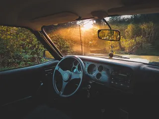 绿叶植物附近的车辆内部照片