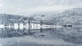 雾，森林，湖泊，风景，山，雪，雪，树