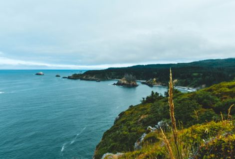 美国, 特立尼达州海滩, 海滩, 诺卡尔, Pnw, 太平洋西北地区, 树, 公路旅行